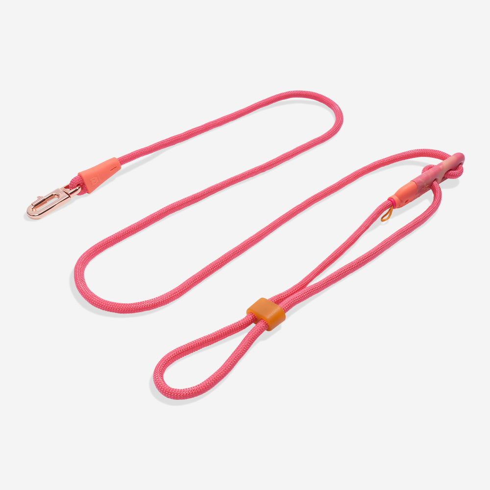 Correa Hands-Free para Perros Gazelle