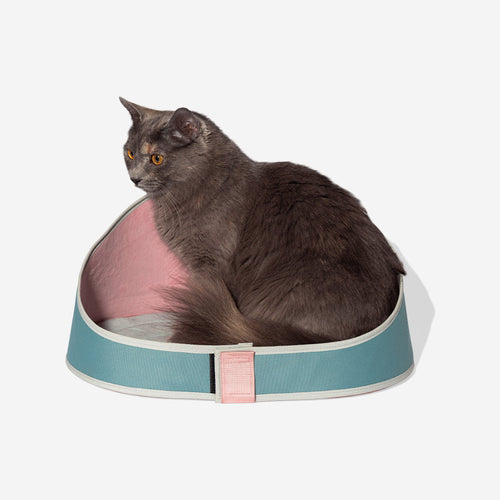 Cama para Gatos Kombucha