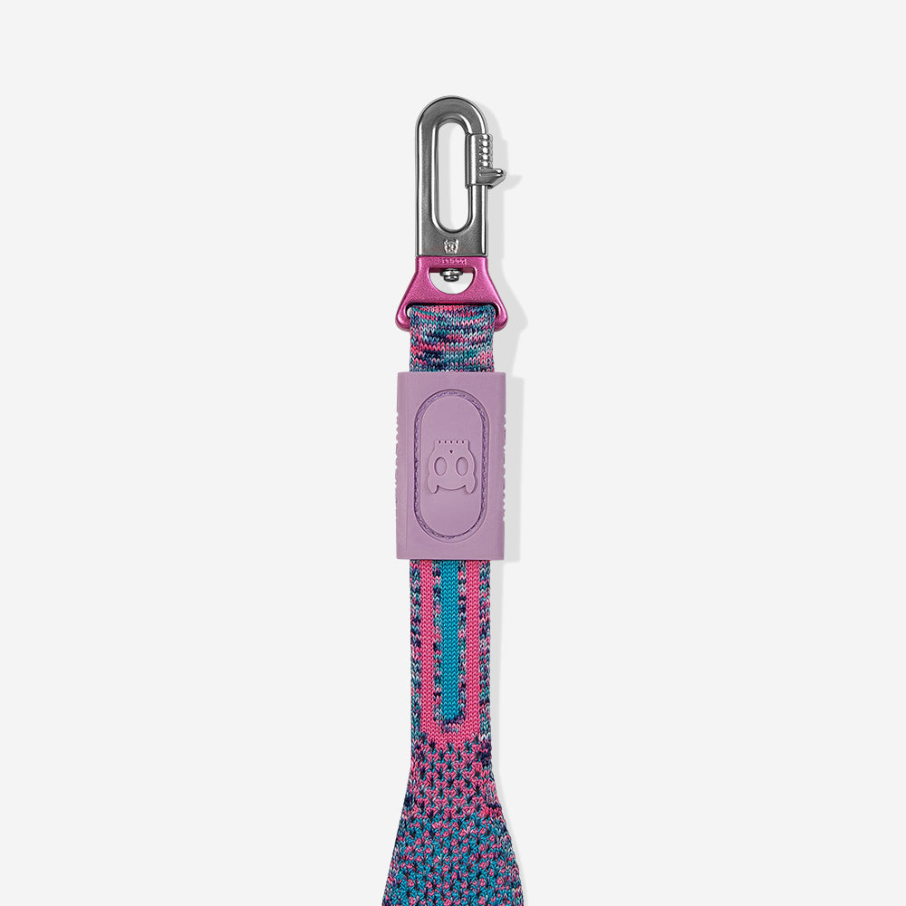 Correa NitLeash para Perros Candy