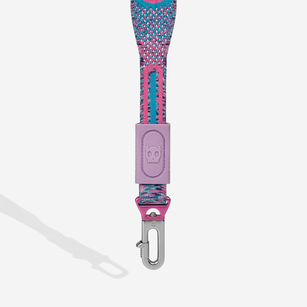 Correa NitLeash para Perros Candy