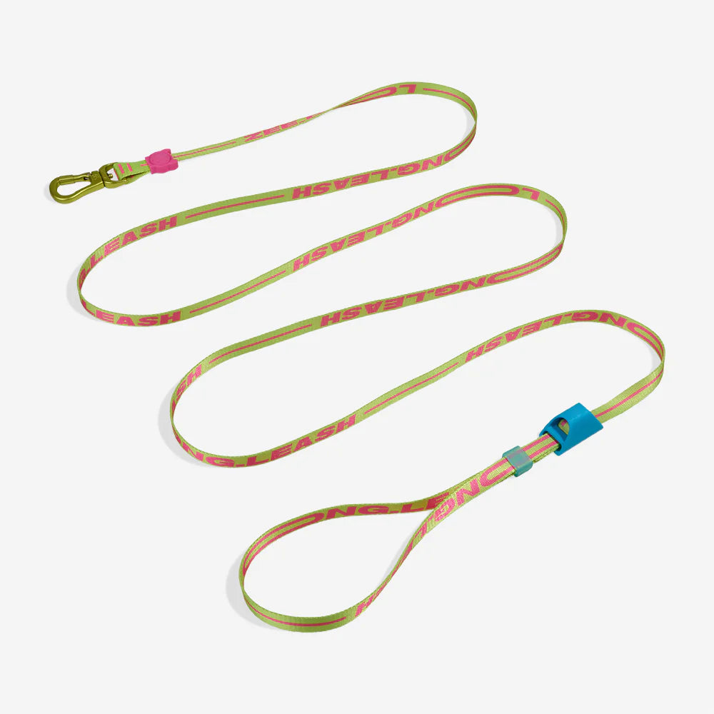 Correa Long para Perros CMYK