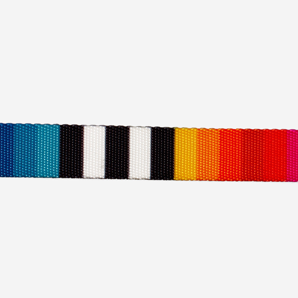Collar para Perros Prisma