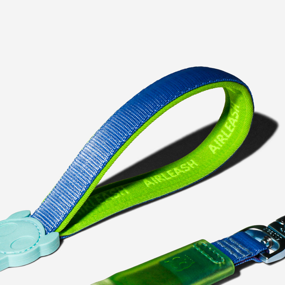 Correa Amortiguada Airleash para Perros Cali Uno