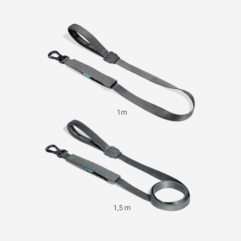 Correa Amortiguada Airleash para Perros Carbon