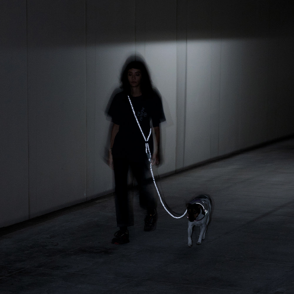 Correa Hands-Free para Perros NOX