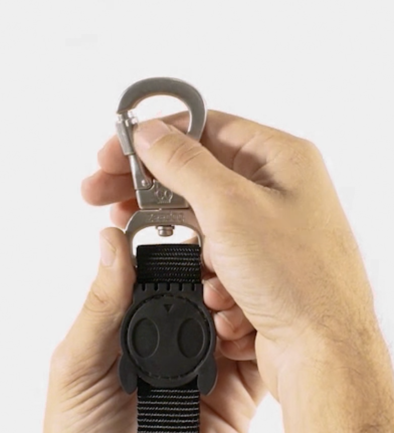 Correa para Perros H3D Bounce