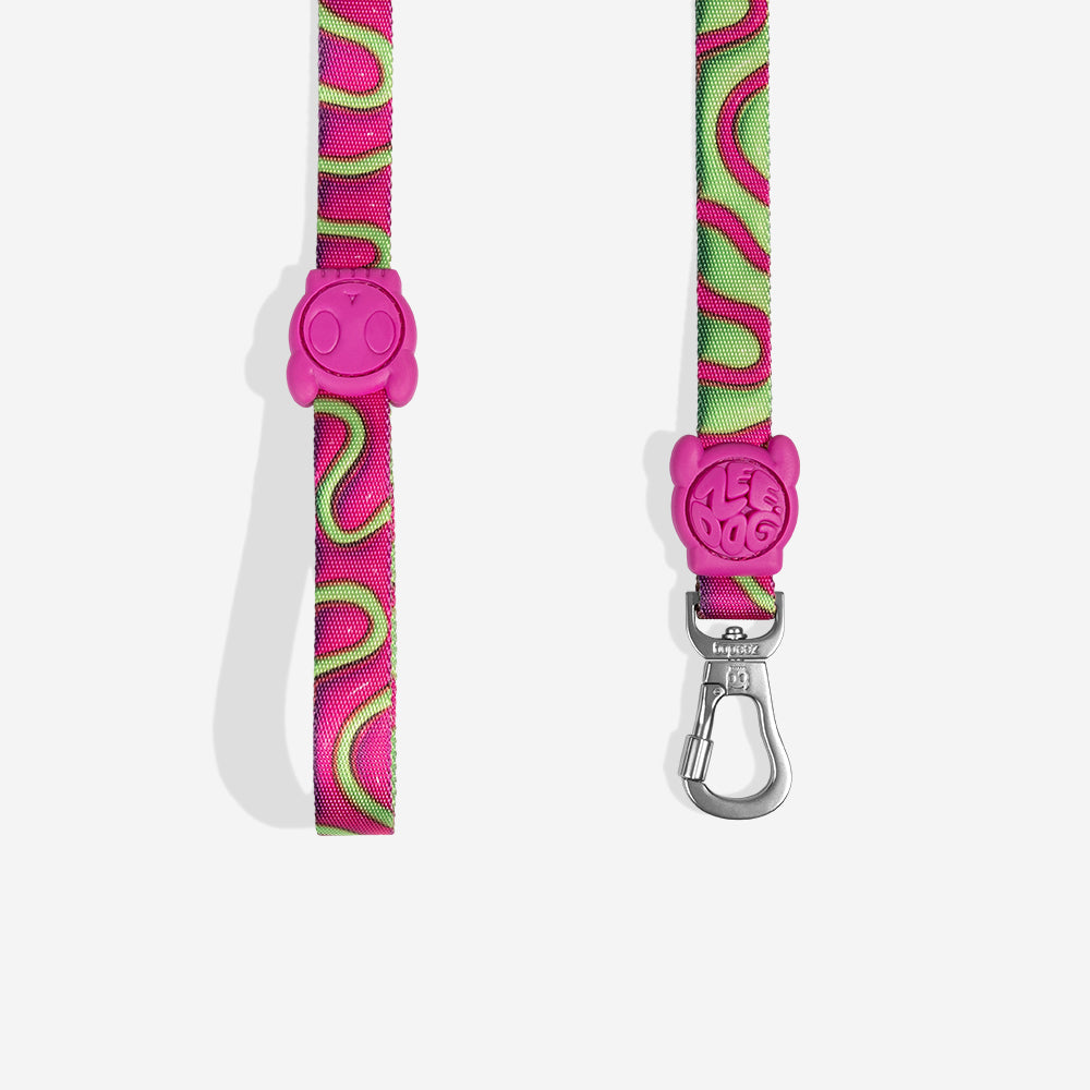 Correa para Perros H3D Jelly