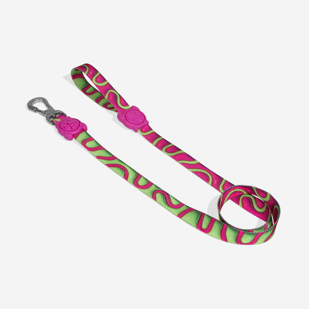 Correa para Perros H3D Jelly