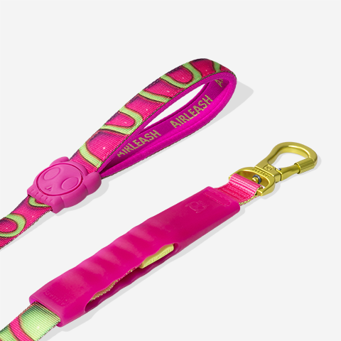 Correa Amortiguada Airleash para Perros H3D Jelly