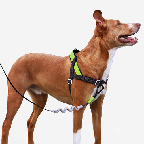 Arnés SofterWalk para Perros Jaladores NOX