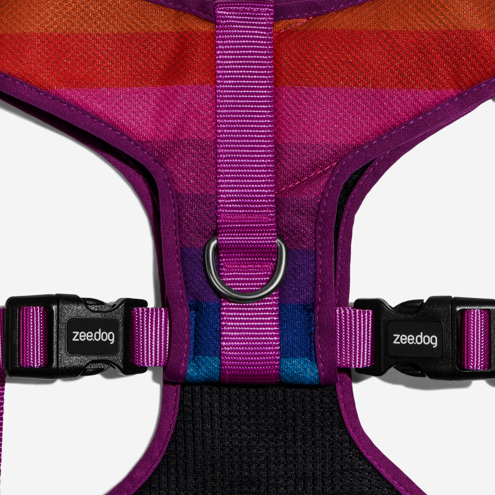 Pechera Air Mesh Ajustable para Perros Prisma