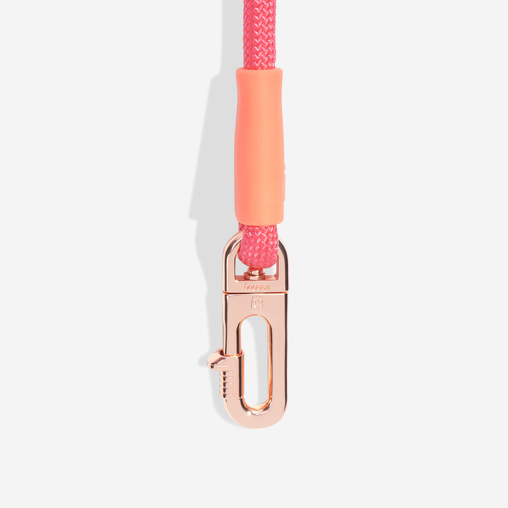 Correa Hands-Free para Perros Gazelle
