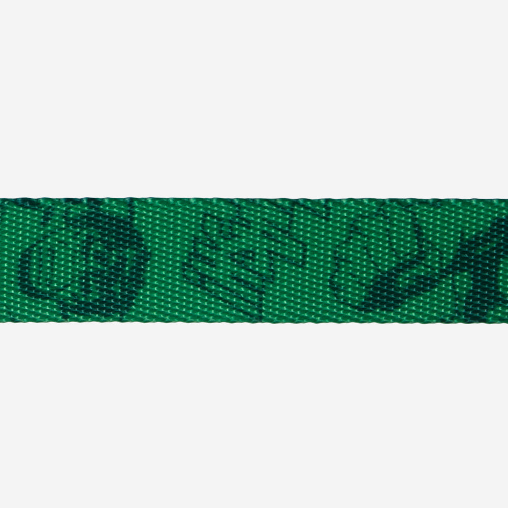 Collar para Perros Marvel Hulk