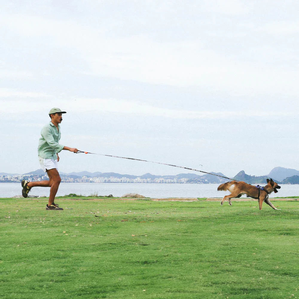 Correa Long para Perros CMYK